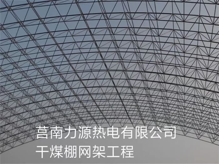 深圳力源热电有限公司干煤棚网架工程